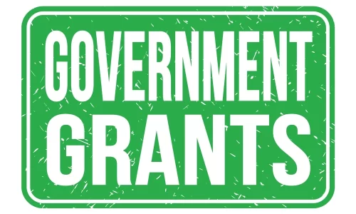 GOVERNMENT-GRANTS